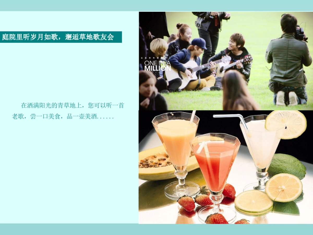 2017丹枫庄园样板间开放方案_第5页