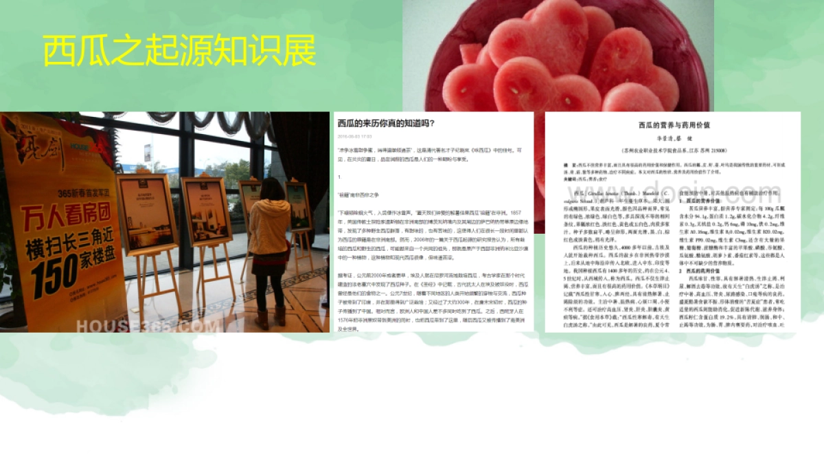 2017欢乐江山西瓜节方案 _第4页