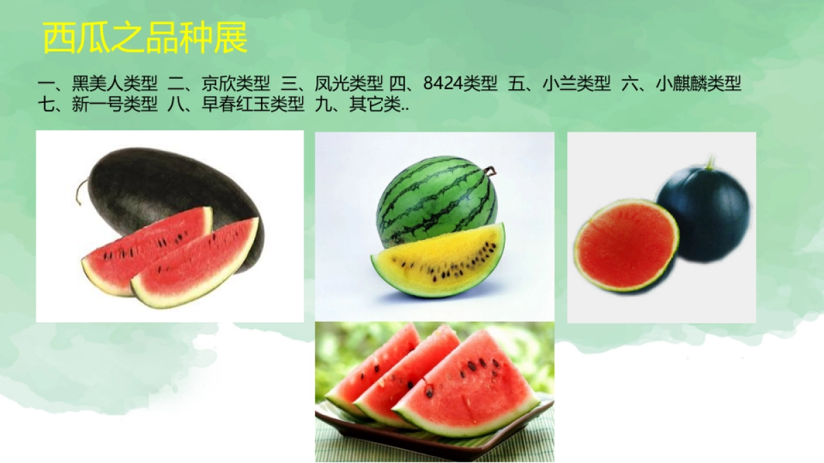 2017欢乐江山西瓜节方案 _第8页