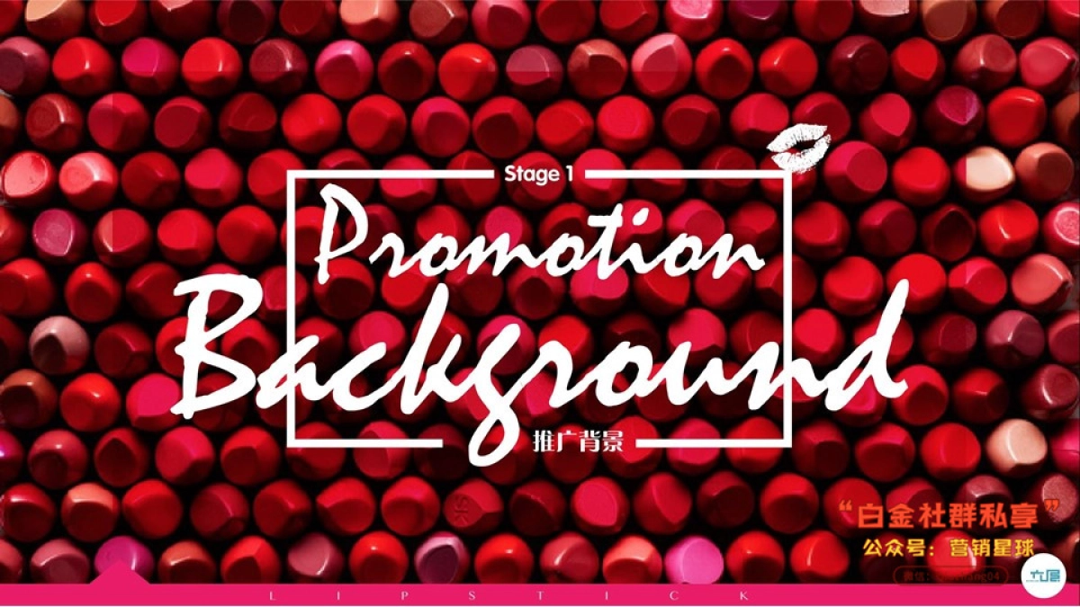 2017掌上天津口红节方案_第5页