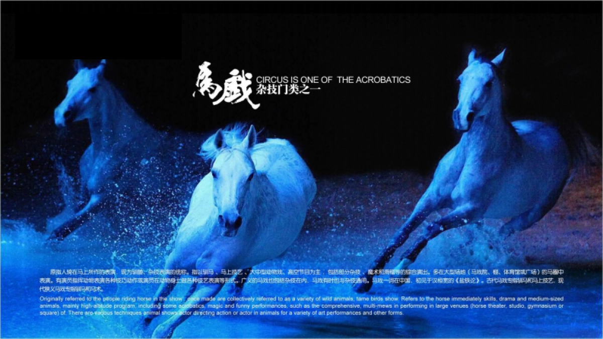 2018福泉紫云台俄罗斯国际马戏团全球巡演兴义站_第7页