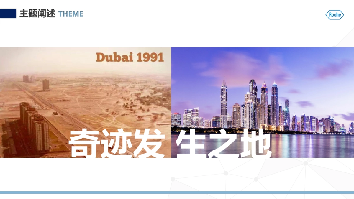 2018罗氏钻石俱乐部迪拜行_第9页