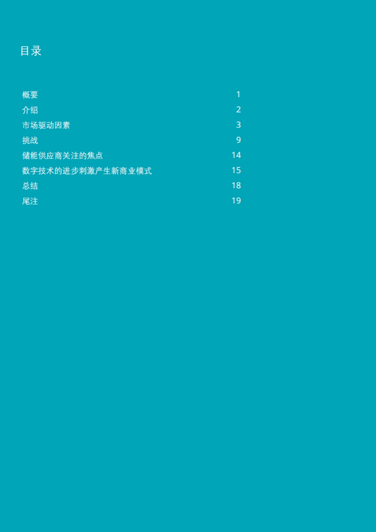 2018超速发展：全球电池储能市场面临的挑战与机遇-德勤-30页_第2页