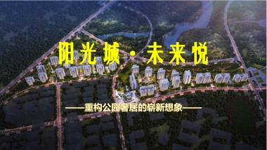 2020阳光城未来悦个案解析