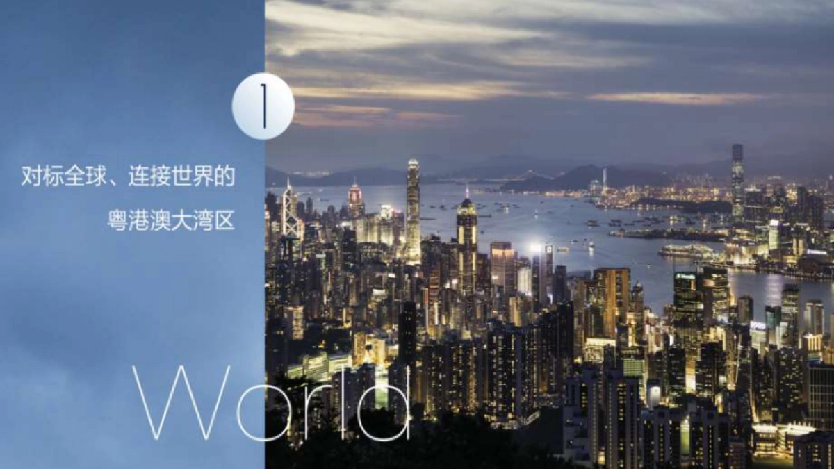 2020深圳琶洲TCL大厦提报_第4页