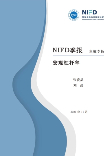 2021Q3中国宏观杠杆率-NIFD-27页