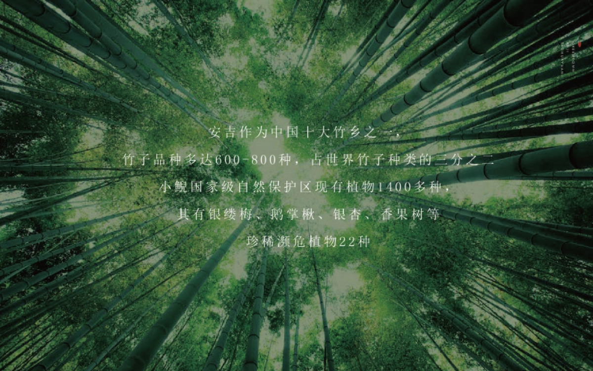 2021安桃推介PPT_第3页