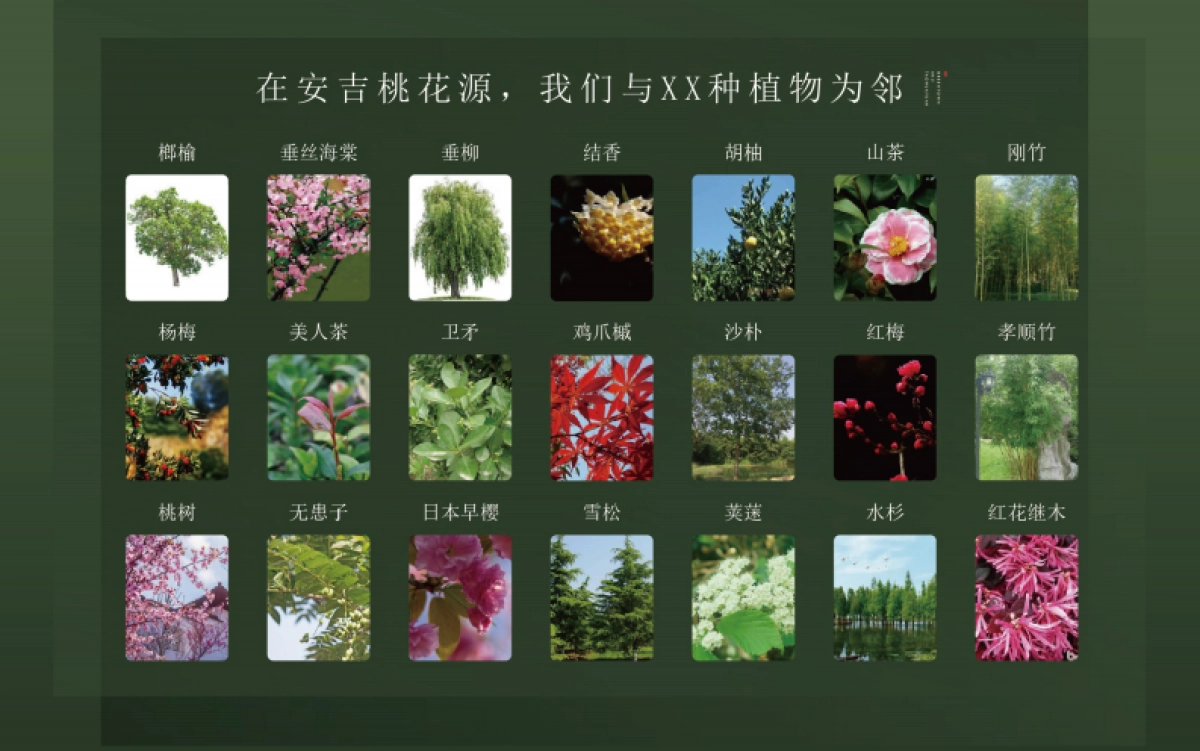 2021安桃推介PPT_第4页