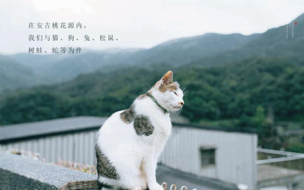 2021安桃推介PPT_第7页