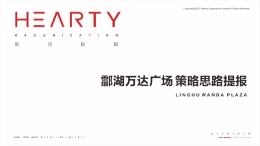 2021酃湖万达广场策略思路提报