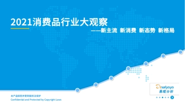 2021消费品行业大观察-易观