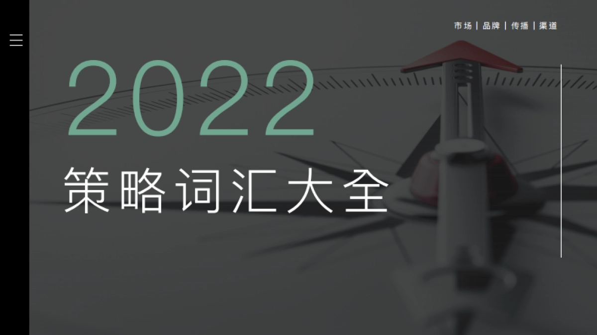 2022策略词汇汇总及解析应用说明_第1页
