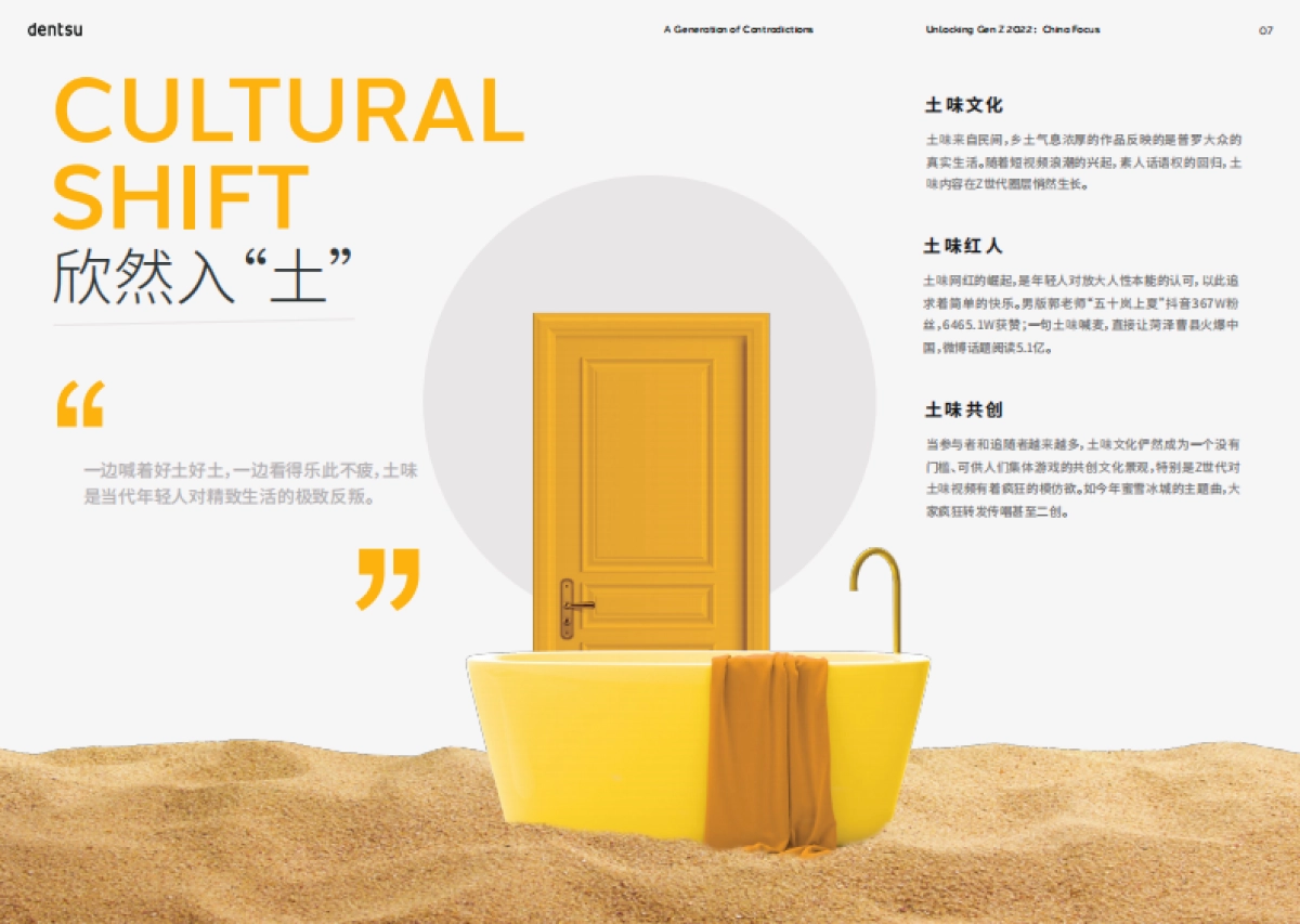 2022解码Z世代：史上最分裂的一代-25页_第8页