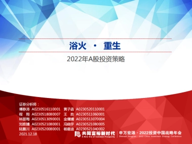 2022年A股投资策略：浴火·重生