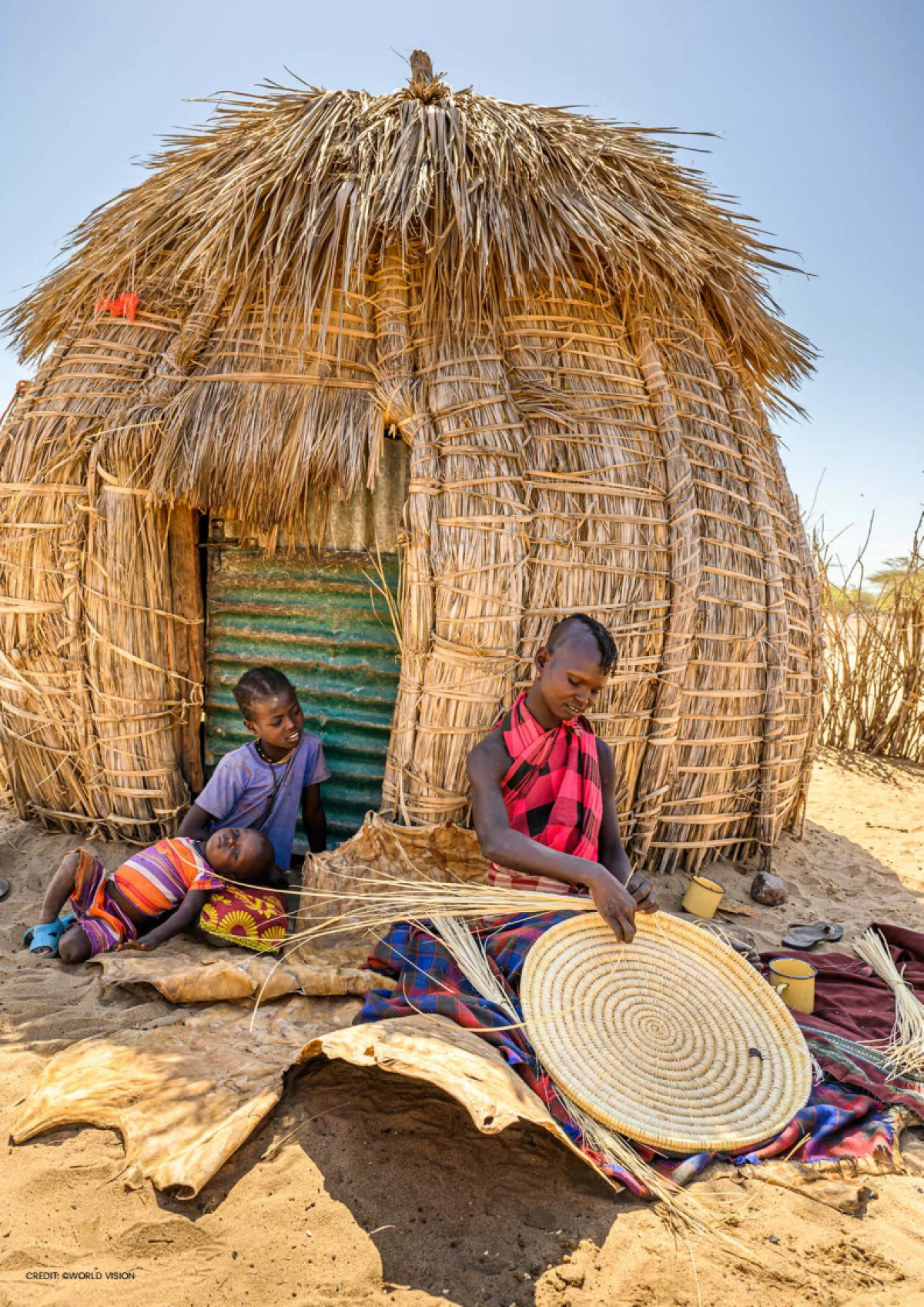 2022年国家可持续发展目标实施进展_第2页