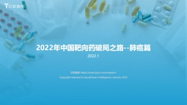 2022年中国靶向药破局之路-肺癌篇-亿欧智库-43页