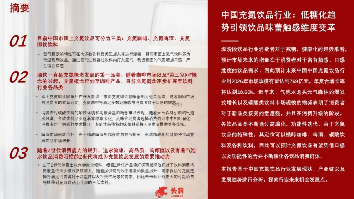 2022年中国充氮饮品行业概览_第2页