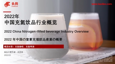 2022年中国充氮饮品行业概览