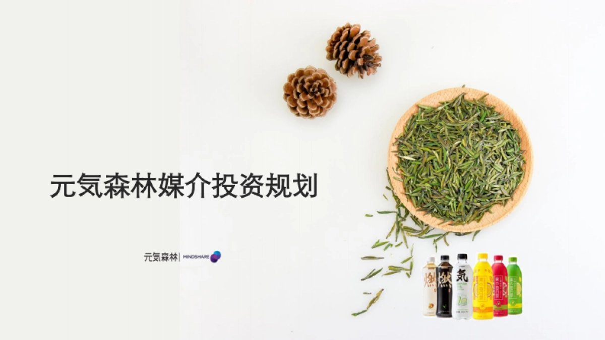 2022元気森林媒介投资规划_第1页