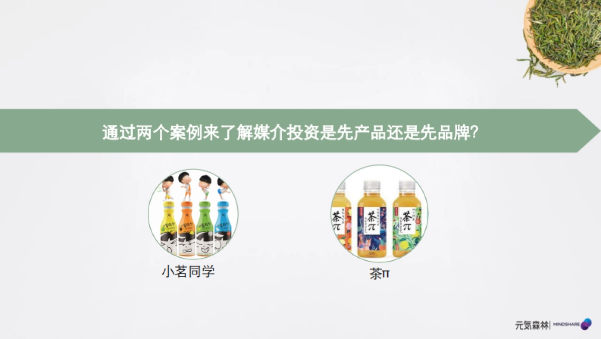 2022元気森林媒介投资规划_第4页