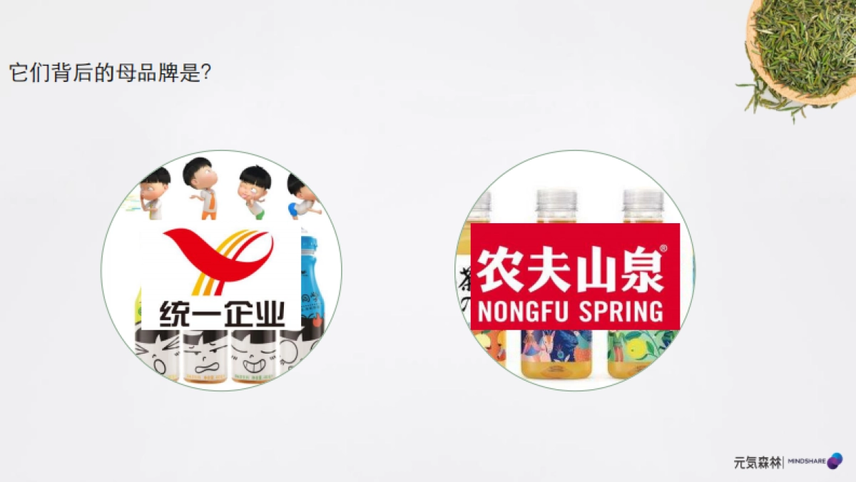 2022元気森林媒介投资规划_第7页