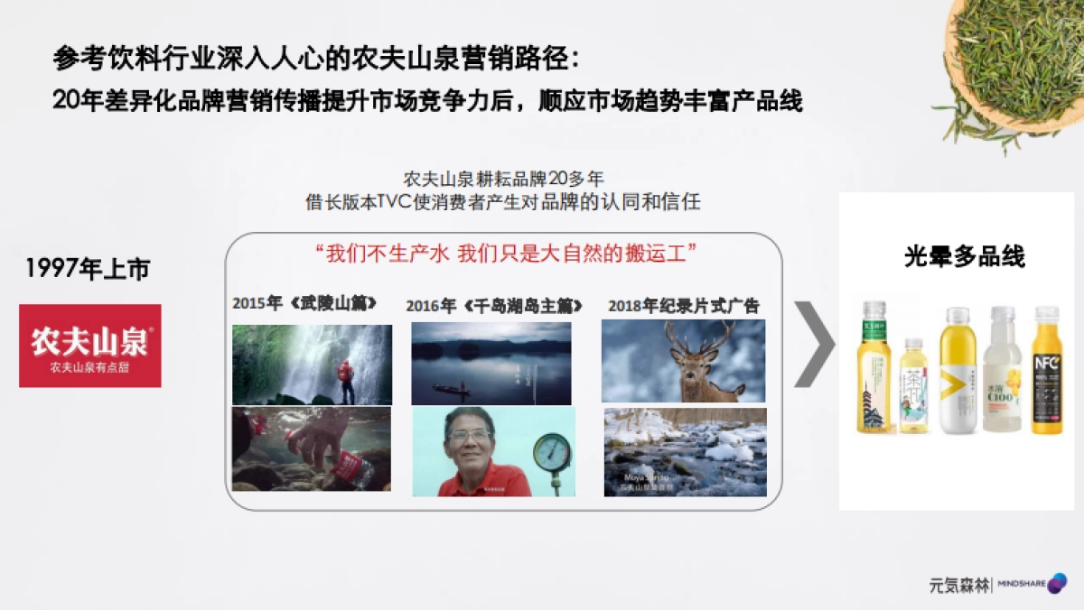 2022元気森林媒介投资规划_第8页