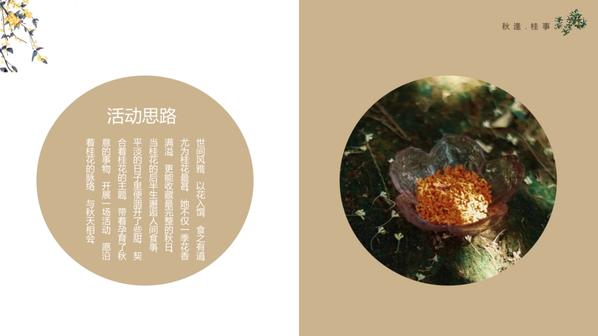 2023秋逢.桂事秋季桂花主题月度暖场方案_第5页