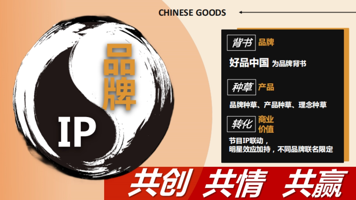 2024《好样的！国货》第二季方案_第5页