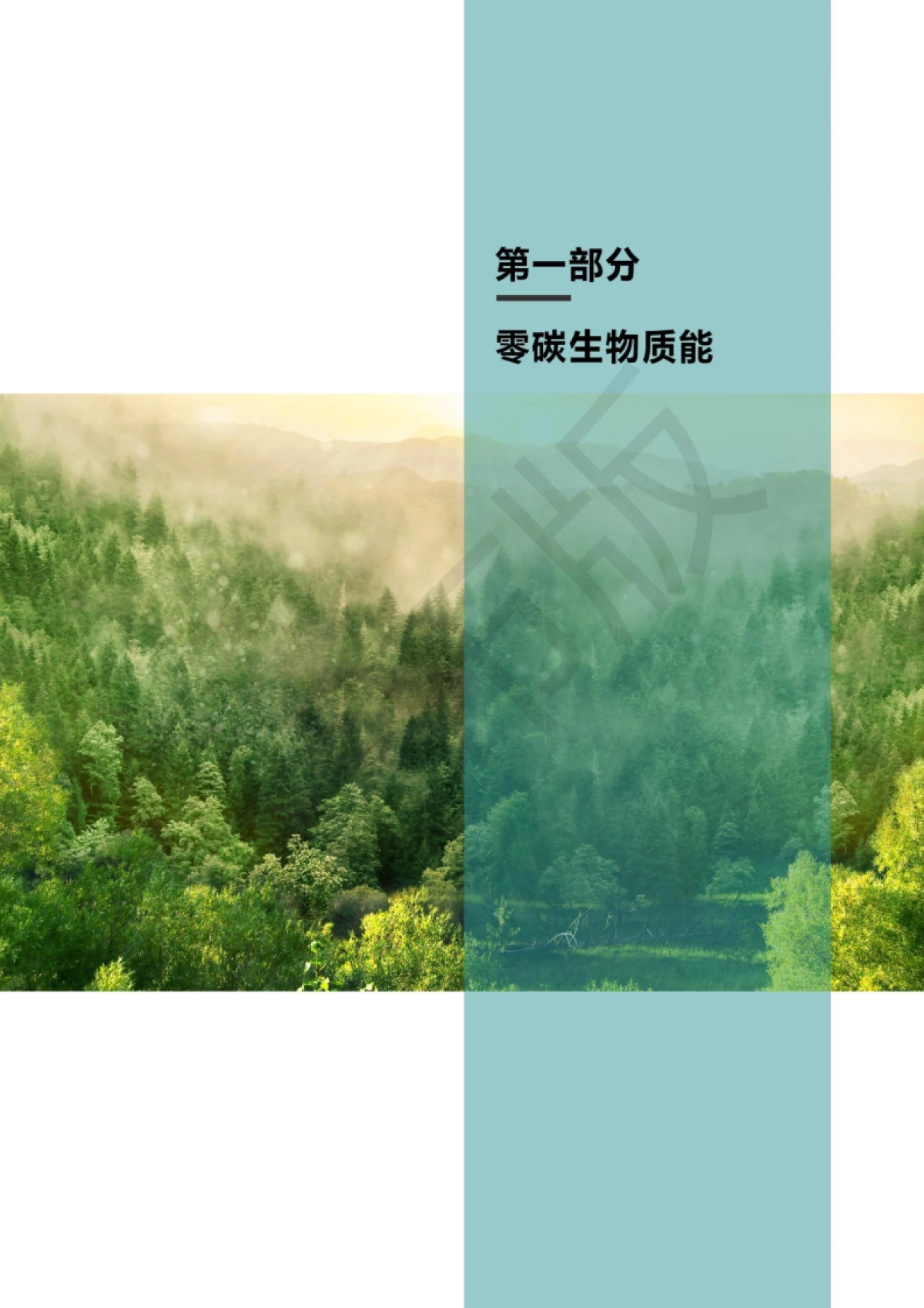 3060零碳生物质能发展潜力蓝皮书-中国产业发展促进会-40页_第6页