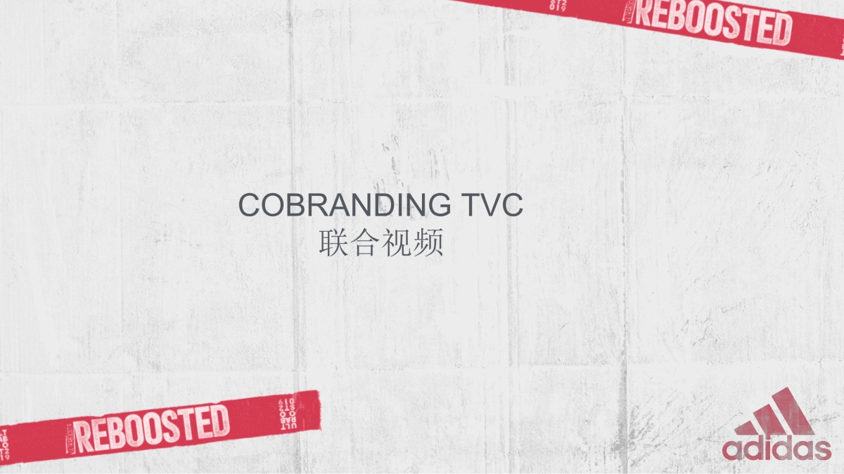 adidas SBD WIP_第5页