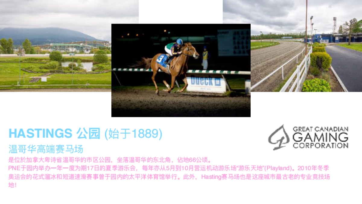 Albatross Music Festival_Chinese_第6页