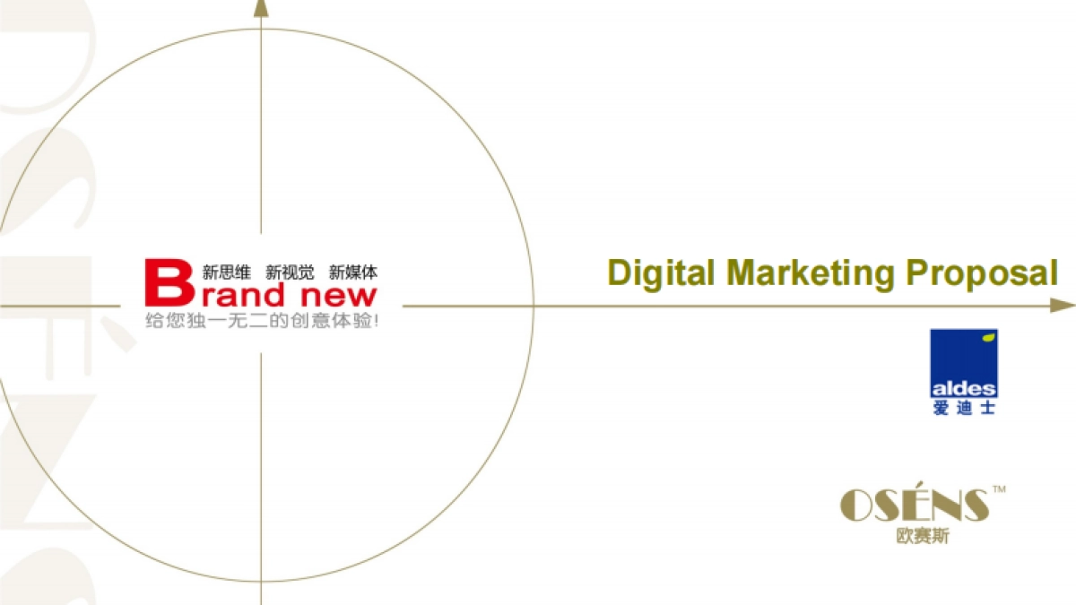 Aldes China Digital Marketing Strategy_Osens_第1页