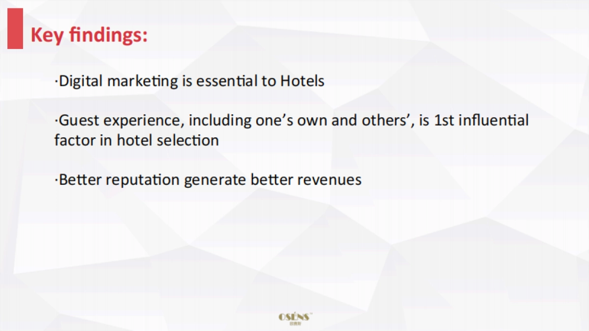 Anantara Digital Marketing Strategy_第4页