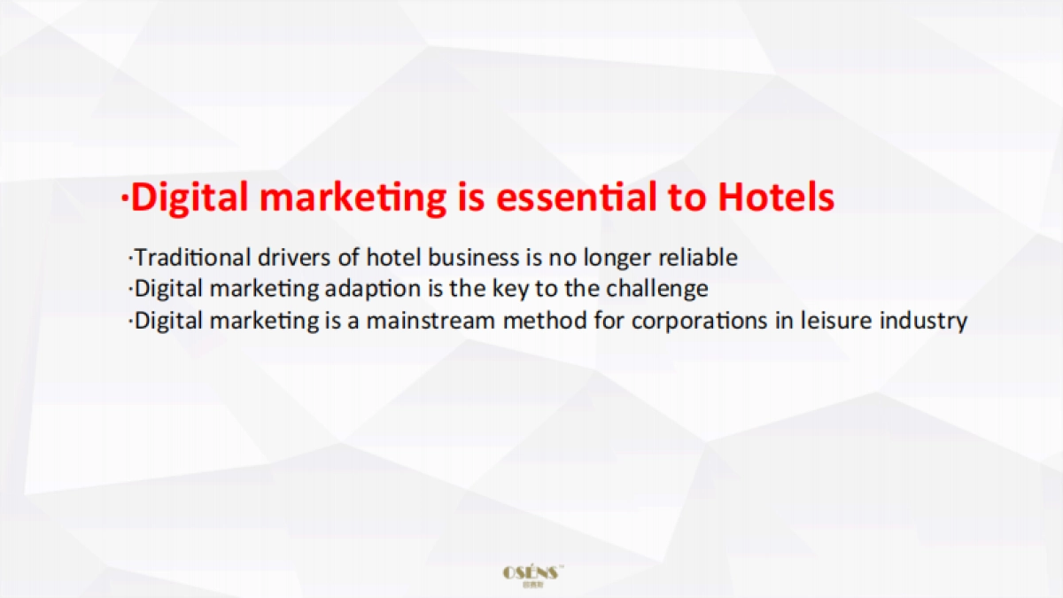 Anantara Digital Marketing Strategy_第5页