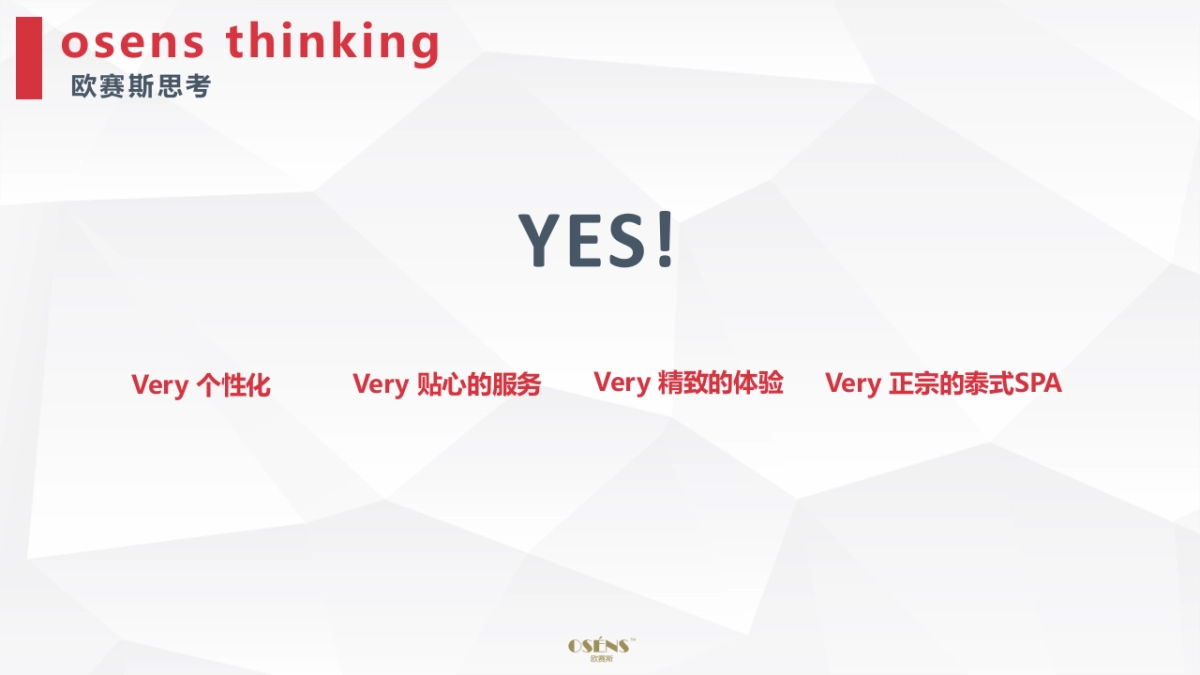 Anantara豪华度假酒店 Digital Strategy_第10页