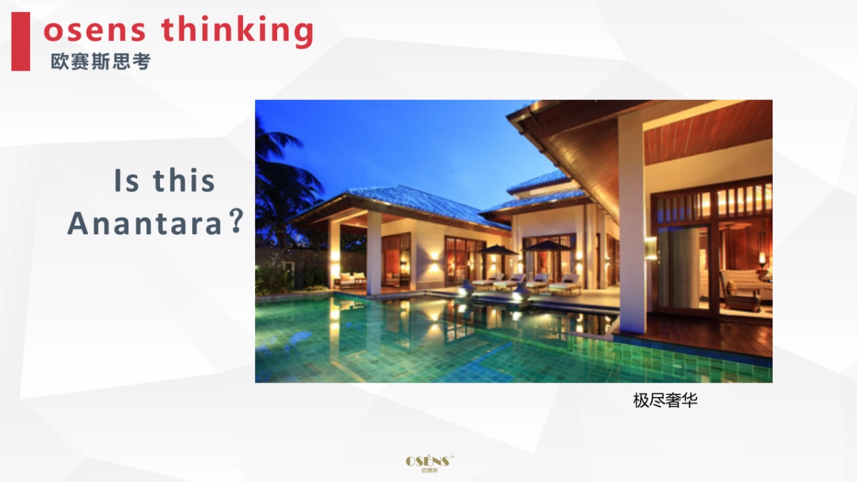 Anantara豪华度假酒店 Digital Strategy_第5页