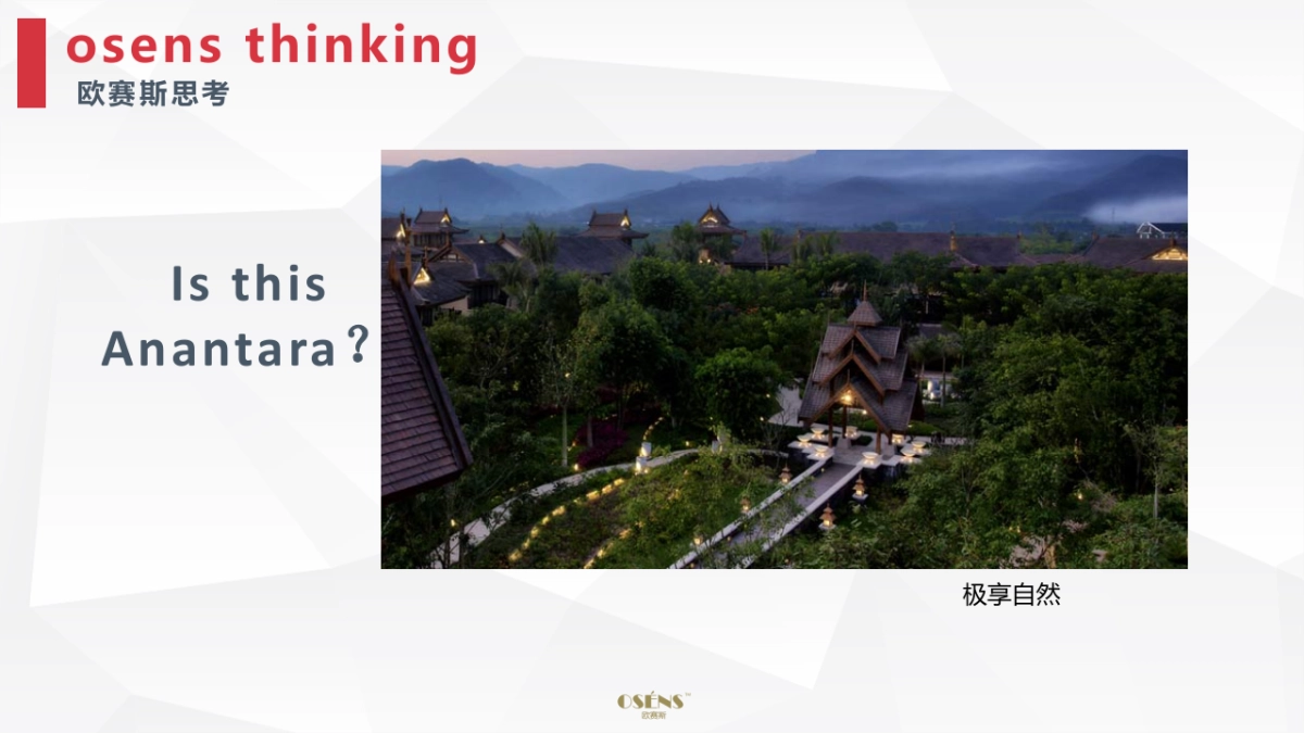 Anantara豪华度假酒店 Digital Strategy_第6页