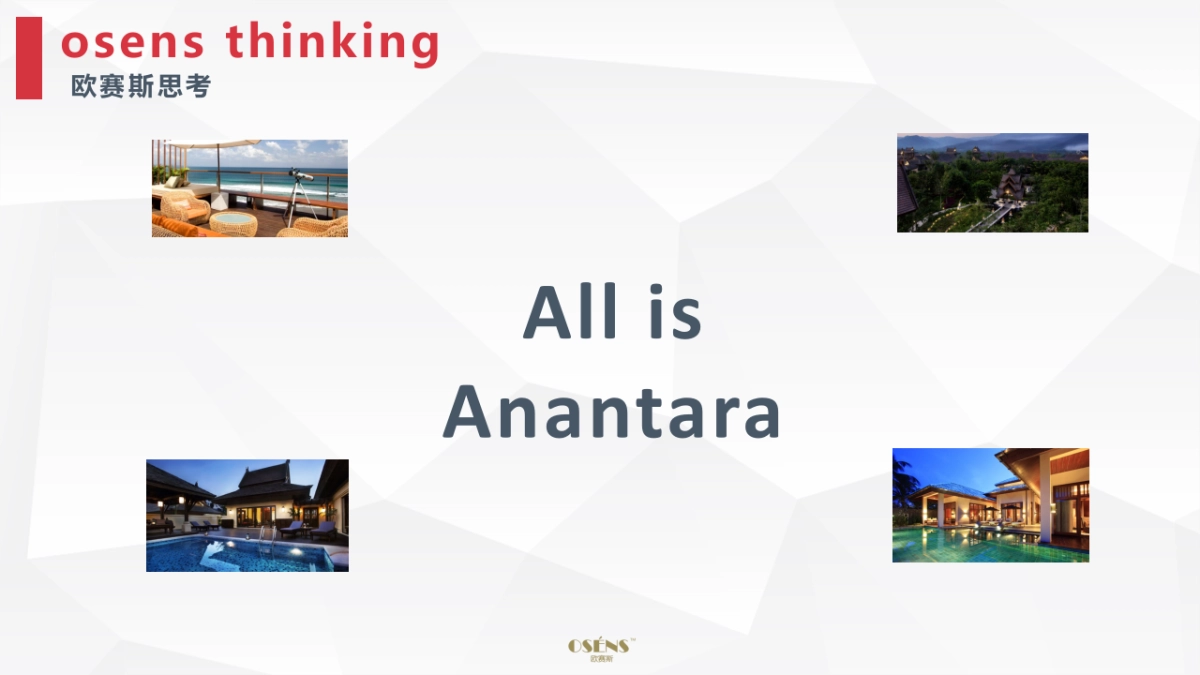 Anantara豪华度假酒店 Digital Strategy_第9页