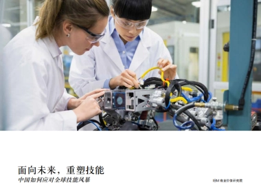 IBM-面向未来，重塑技能：中国如何应对全球技能风暴-20页