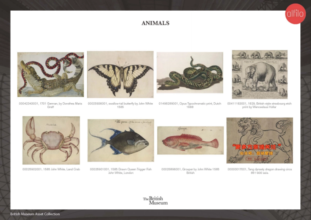 BM Asset Catalogue V5_第10页