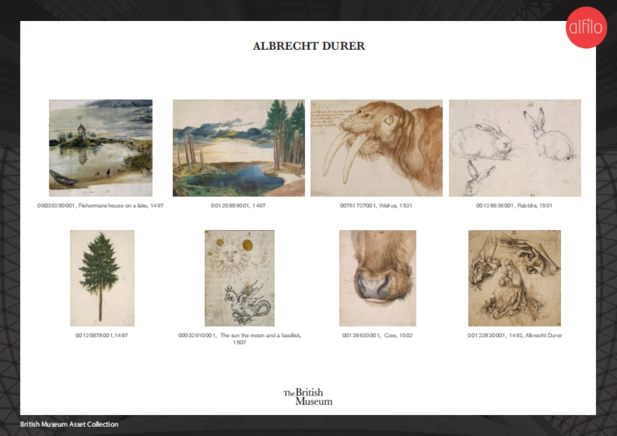 BM Asset Catalogue V5_第5页