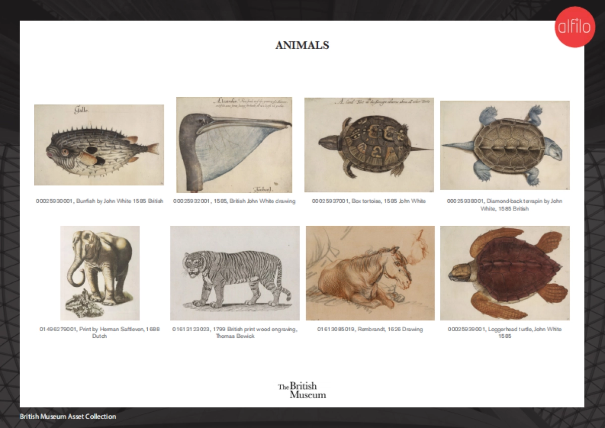 BM Asset Catalogue V5_第8页