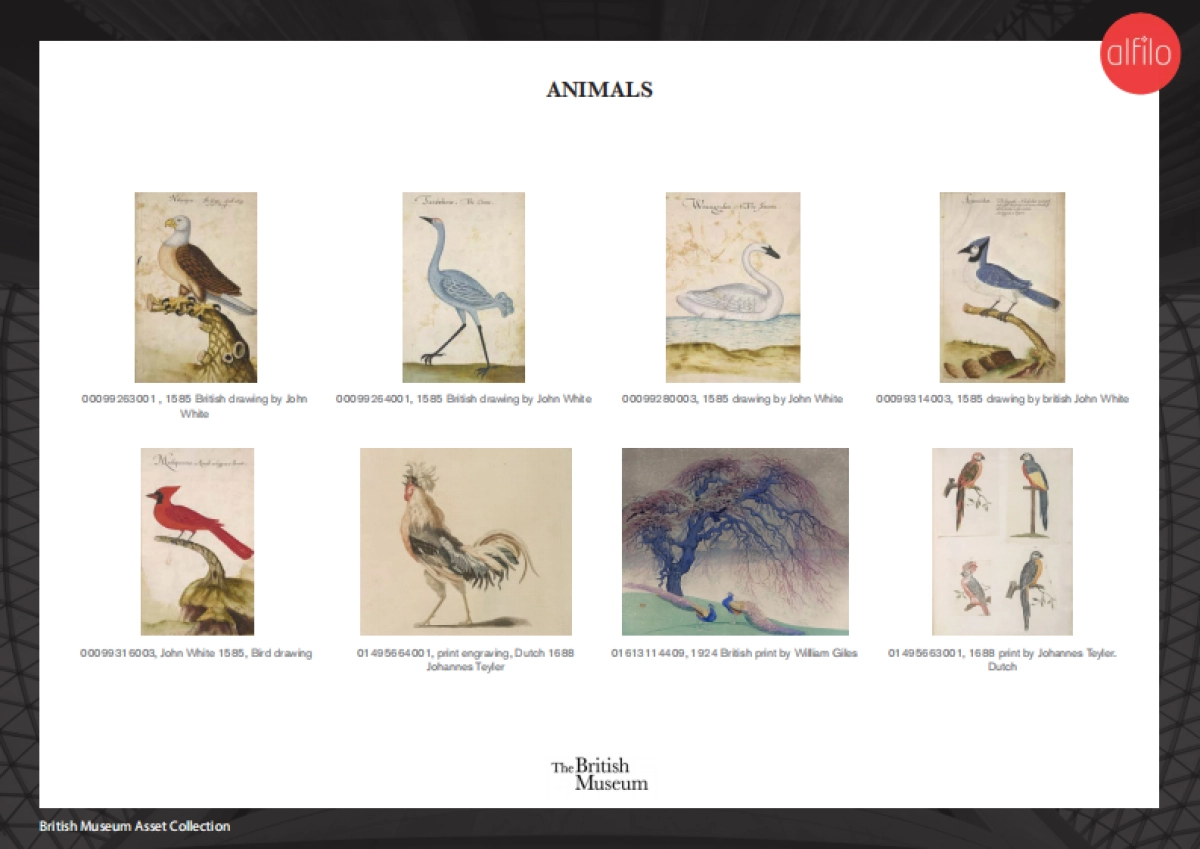 BM Asset Catalogue V5_第9页