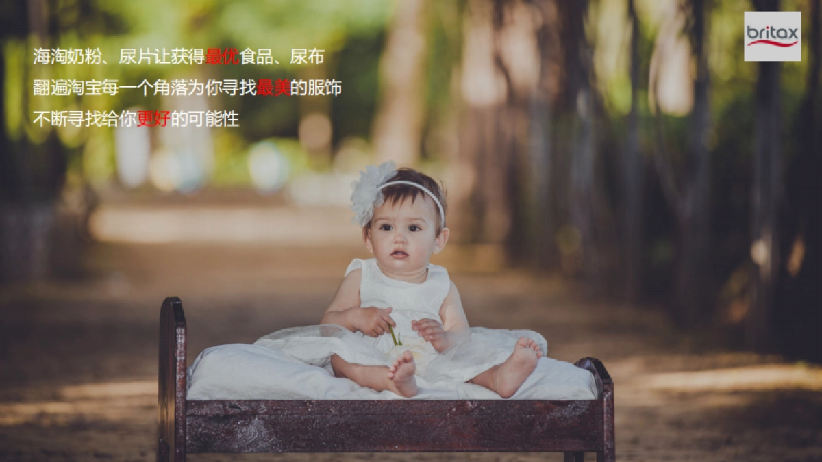 Britax 儿童安全座椅Campaign Proposal_第7页