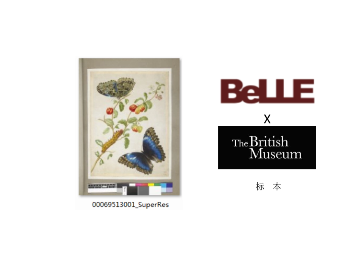 British Museum-summer collection(final)_第2页