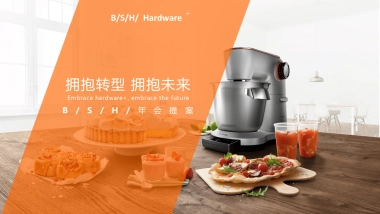 BSH年底方案完_file