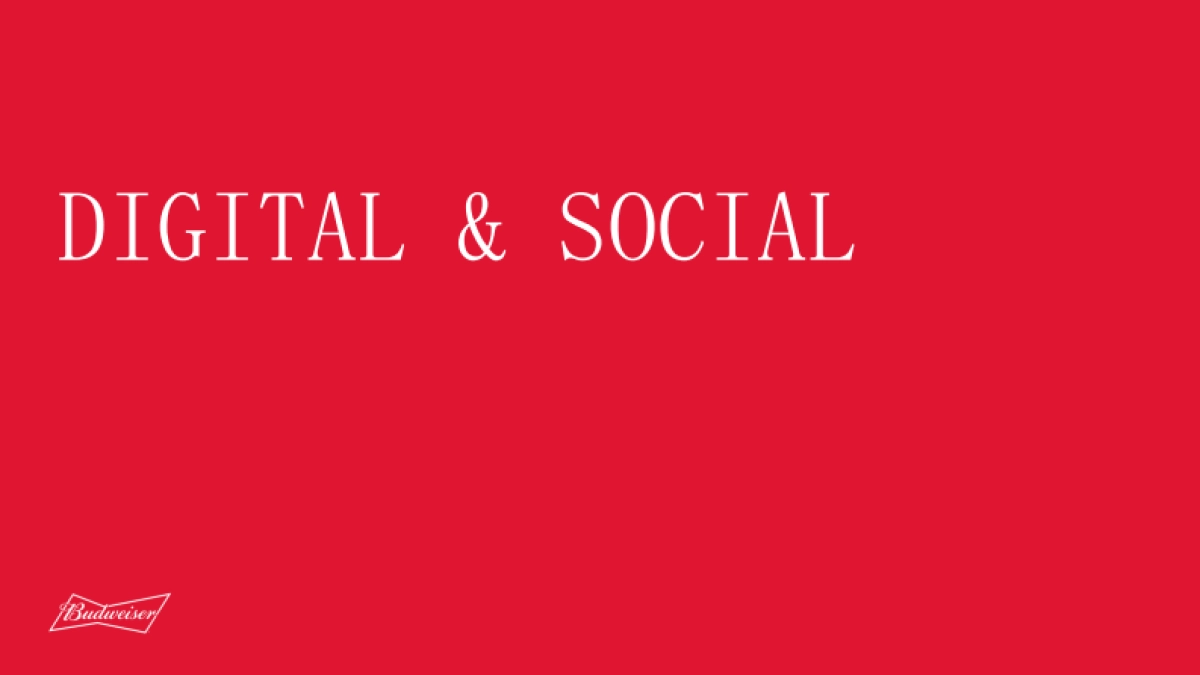 Budweiser CNY  IMC Deck_第10页