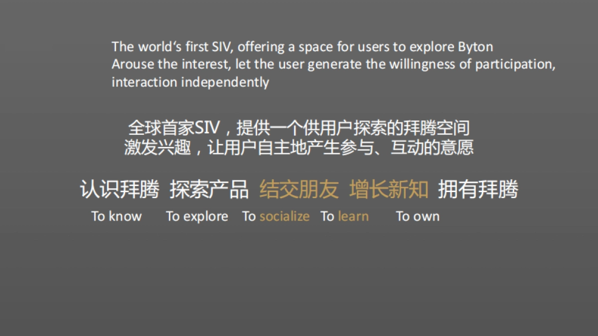 Byton Brand Store Opening Event_第2页