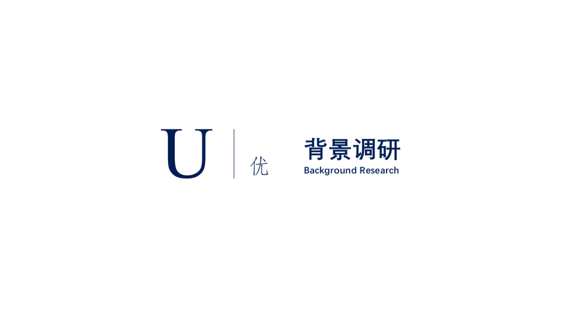 Case Study——U Jewelry_第3页