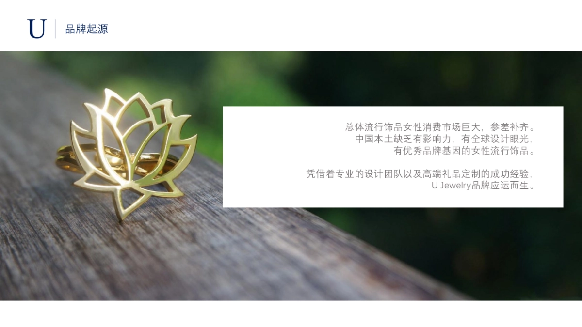 Case Study——U Jewelry_第5页